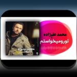 کشف اسرار عکس قدیمی محمد علیزاده خواننده: چه چیزی در این تصاویر پنهان است؟